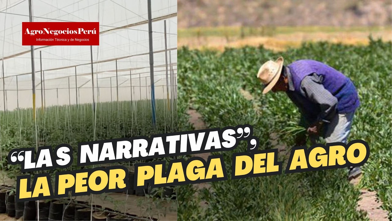 Las "narrativas" y mala comunicación perjudican la legislación agraria en el Perú