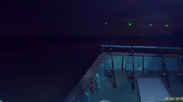 Câu cá bông lau huyện Cần Giờ 4