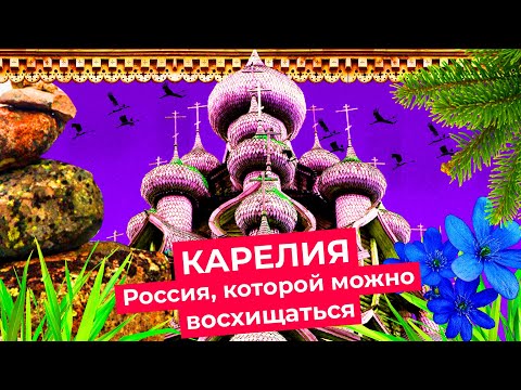 Видео: Природен резерват Костомукша (Република Карелия): история, описание, фауна и флора