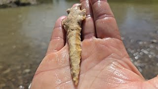 Arrowhead Hunting New Creeks! (MO Arrowhead Hunting) 