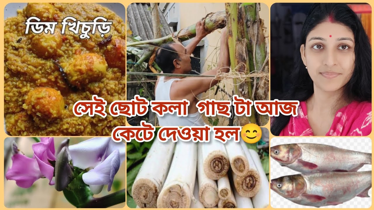 ডিম খিচুড়ি 😋সেই ছোট কলা গাছ টা আজ কাটা হলো।।
