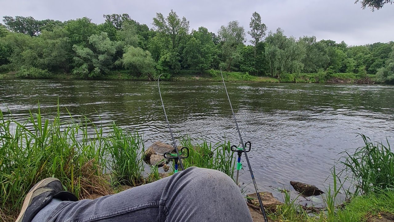 Pomidory w szklarni i przenawożone papryki...