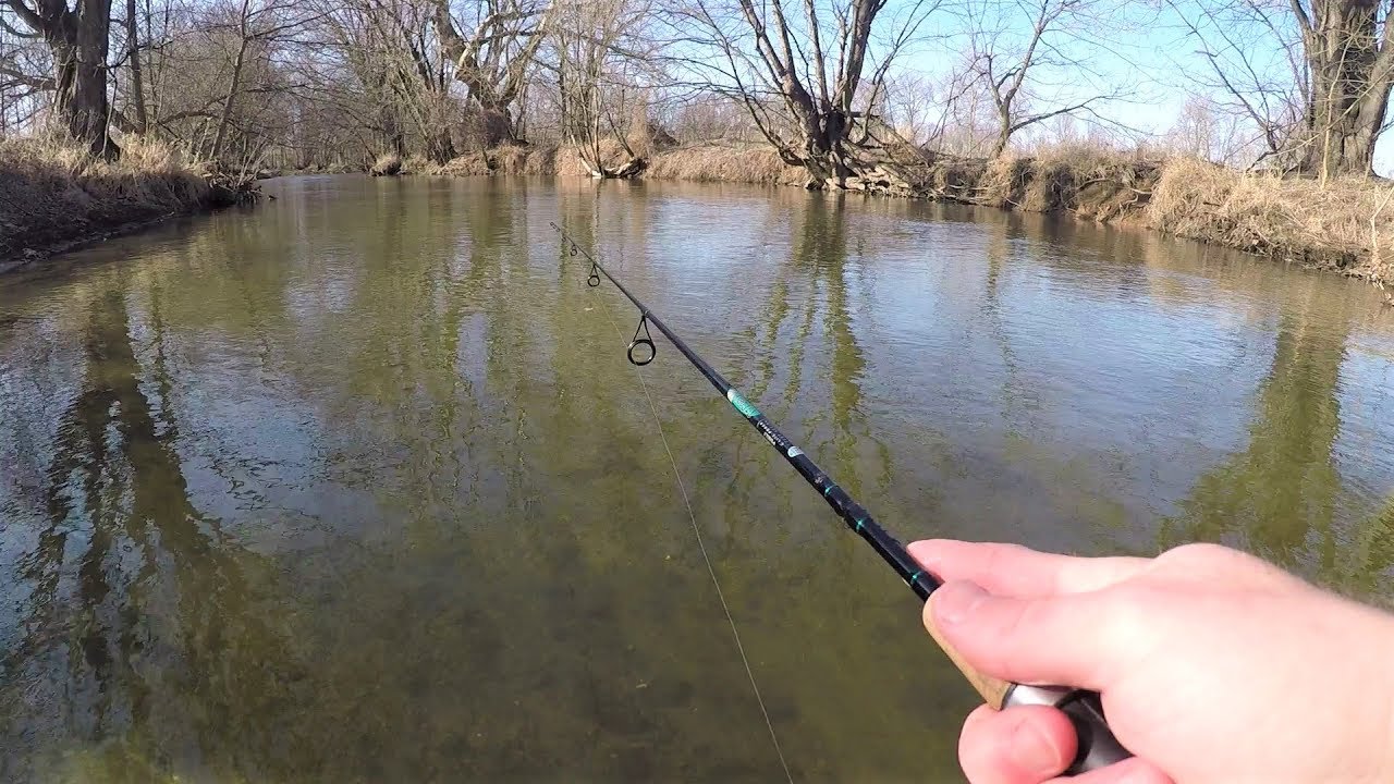 CREEK Fishing for BIG Wild Brown TROUT 