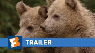Bears Official Trailer HD | Trailers | FandangoMovies