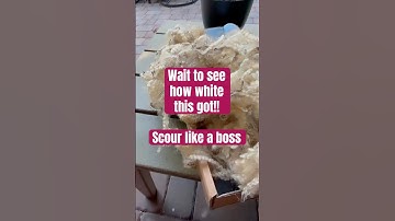 Have you ever scoured wool?  How did it turn out?