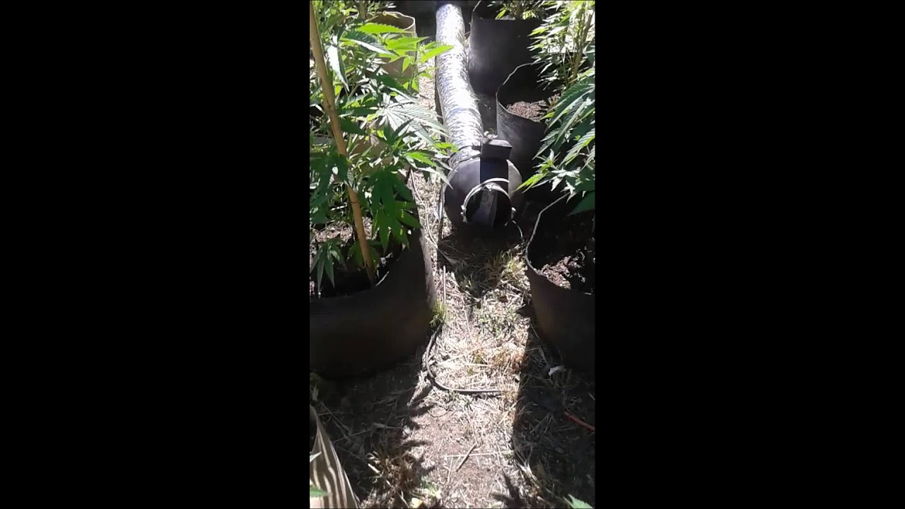 Warren Puffit light depo