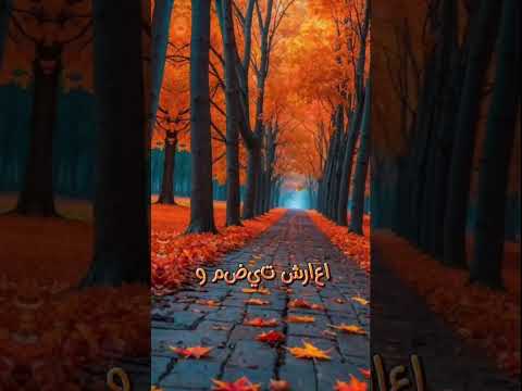    في لحظة الدنيا فاجئتني اقتباساتي