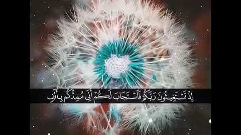 حالات واتس اب دينيه القارئ نور الدين سليم