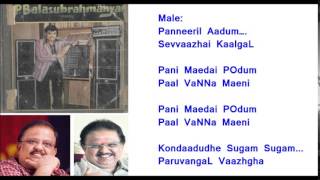 Thein sindhudhe Video  Karaoke for Male Singers by HamsaPriya chords
