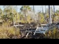 Florida National Scenic Trail Leading the Way in Competition for $25,000 Grant