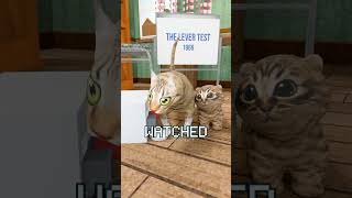 Kitten Copies Everything Her Mom Does