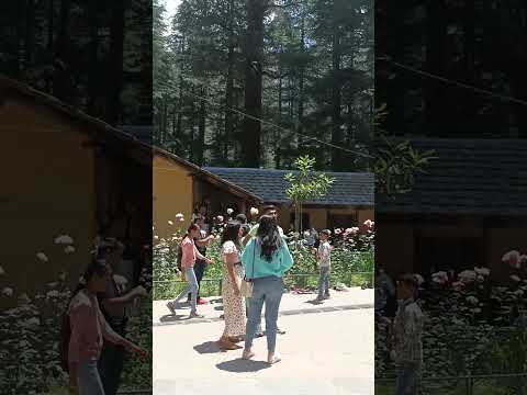 Hidimaba Devi Temple Back Side View Manali