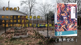 《黄泥街》残雪经典中篇小说光怪陆离乱象纷呈先锋派文学代表作家处女作(有声全本)