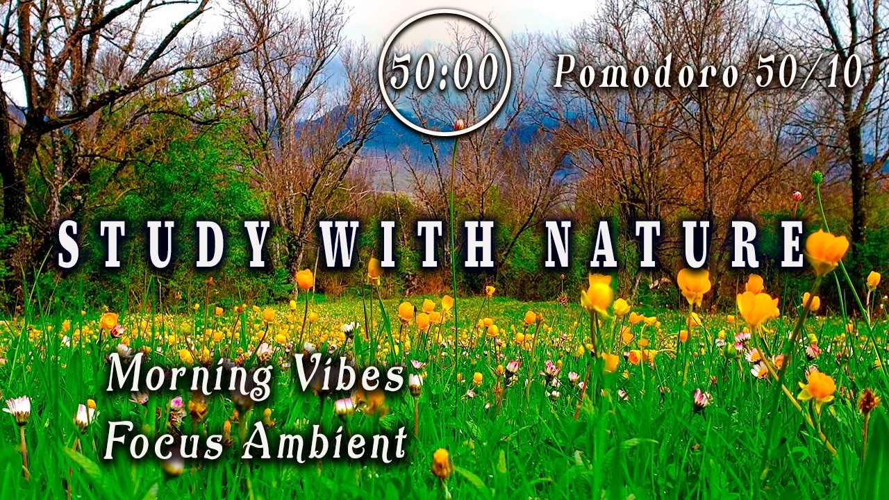 🕒POMODORO 50/10 🌼Intense Study 🌼Morning Vibes to Increase Productivity & Focus 🌼Productive Deep Work