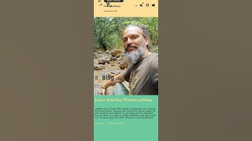 Vedran Badun Adventures