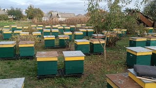 картинка: Формуємо гнізда.