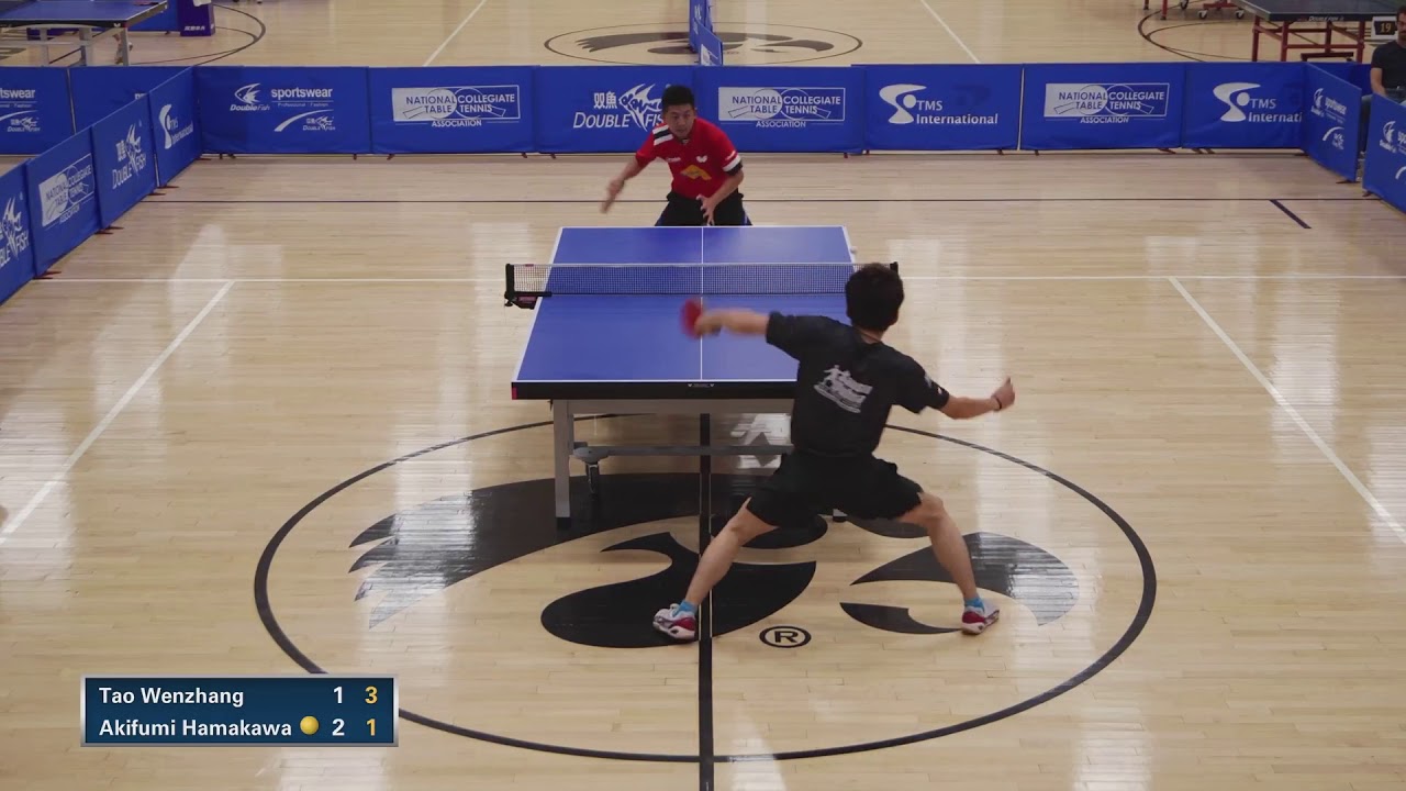 2018 Paddle Palace Hawkeye Open - Mens Singles Final - Tao Wenzhang vs Akifumi Hamakawa (Highlights)