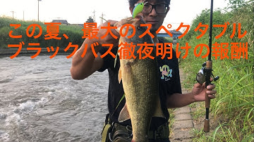 中川バス釣り Youtube