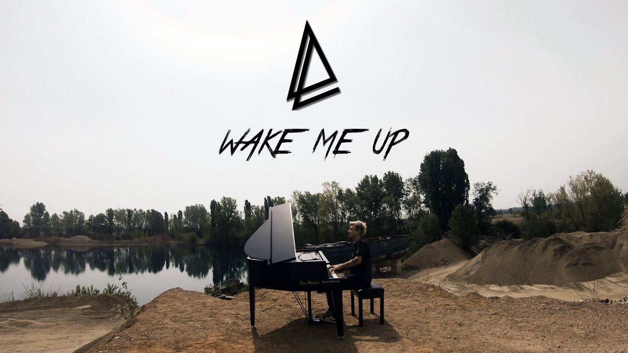 4 hands, 1 person... WAKE ME UP (Avicii) | Davide Locatelli