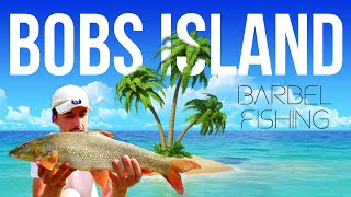 BARBEL FISHING AT BOBS ISLAND - RIVER TRENT