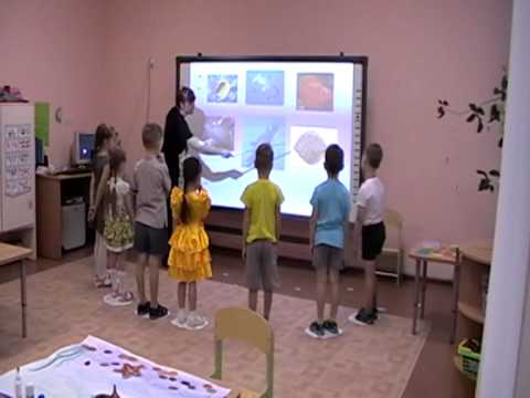 ФЭМП подготовительная группа - YouTube
