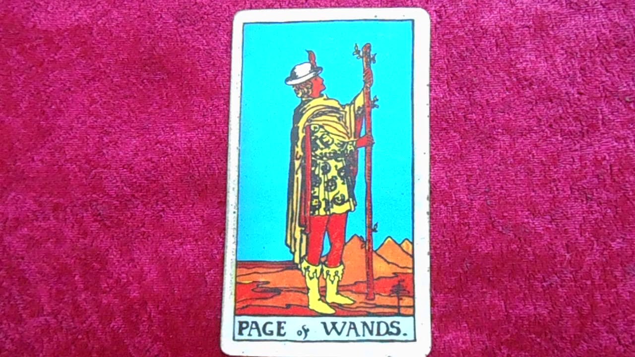 Паж жезлов таро 78 дверей карта