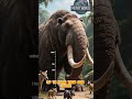 Prehistoric Sloths 🦥 Giant Ground Sloths That Once Ruled the Ice Age Lands 🌍✨  #jurassicjuniors68