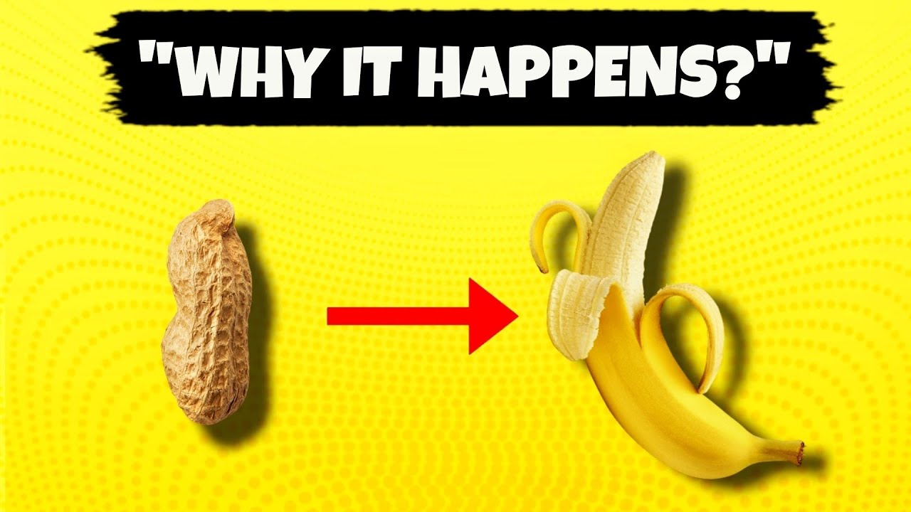 "How and Why Do Erections Happen? | Educational Video for Teen Boys" | Mayra Ansari