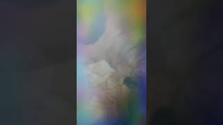 Fotos Héctor Y Lmelda Coco Real