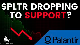 Palantir Stock Drops Buy The Dip Or More Downside?