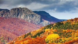 تلاوة خاشعة رائعة لسورة يس للقارئ شيخ أبو بكر الشاطري من ليالي رمضان 1432هـ