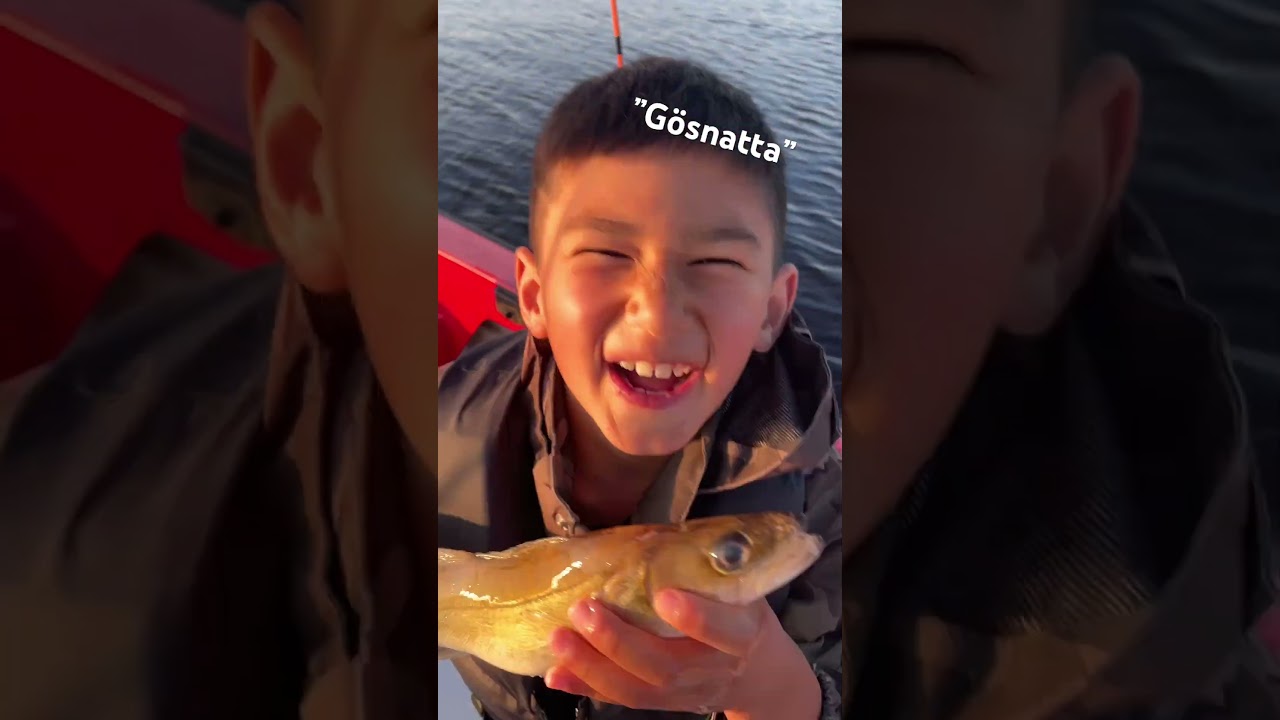 Gösnatta 27 juni 2025