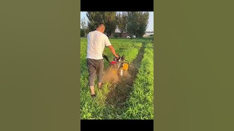 Máy làm đất máy cắt cỏ nông nghiệp máy vun ngô máy tạo rãnh đa năng #maynongnghiep6 #nongnghiep