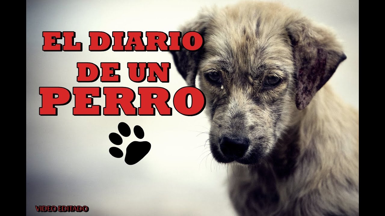 El diario de un Perro 2016 - YouTube