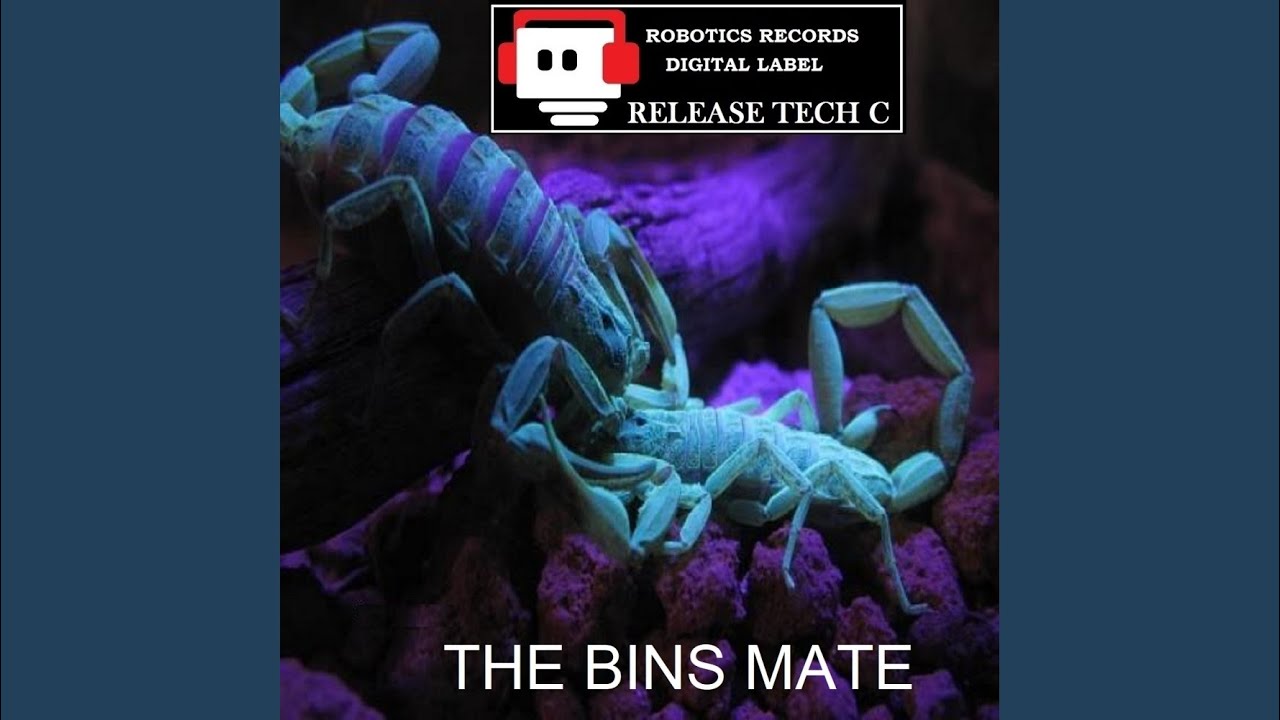 Watch Bins Mate (Original Mix) on YouTube Watch Bins Mate (Original Mix) on YouTube