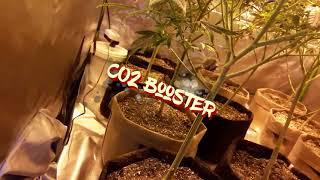 We Grow 1st video!!!  1/25/18