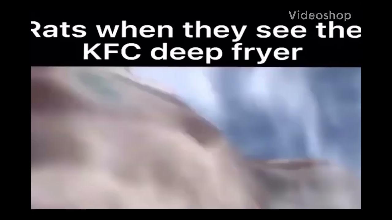 Rats when they realize their in the deep fryer (kratos falling meme