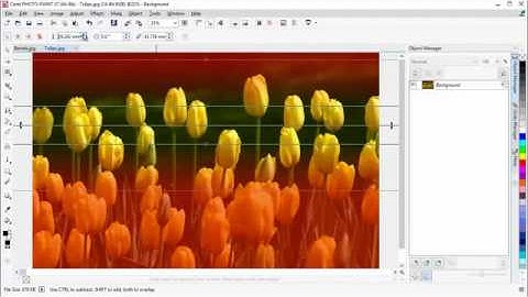 Tutorial CorelDRAW®  Create a Depth of Field Effect with Bokeh Blur