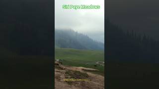 No sound except wind and horses 🐎 Siri Paye Meadows, 10,200 feet #Nature #Peace #ExplorePakistan