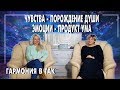 Чувства - порождения духа. Эмоции - продукт ума. Тело, дух, ум и программы человечества