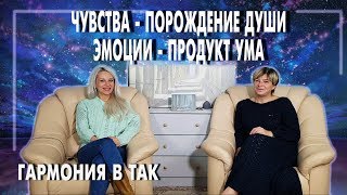 Чувства - порождения духа. Эмоции - продукт ума. Тело, дух, ум и программы человечества