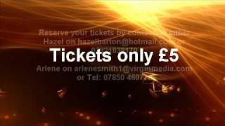 VIP party Night 26032011.mp4