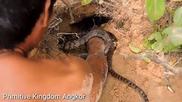 Primitive Technology -Brave man Catching Snake By Hand & Amazing man Playing With Snake