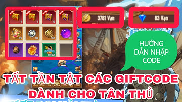 Đại Hải Trình | Tất tần tật các giftcode dành cho tân thủ và hướng dẫn nhập code