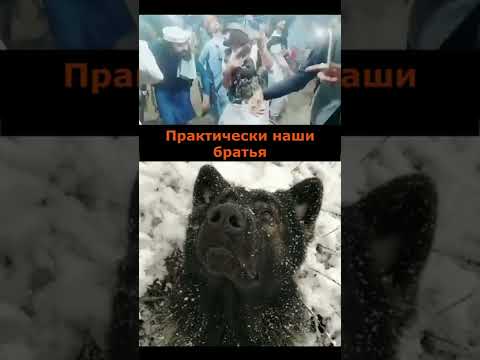 Си Цзиньпин отказался встречаться с пукиным в Москве, но это не беда  😂