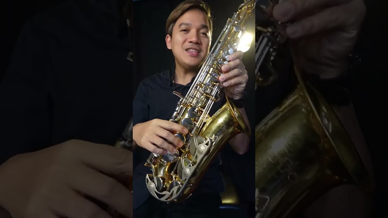 Selmer supreme Vs Vito JAPAN student saxophone - YouTube