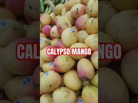 MANGO #shortvideo