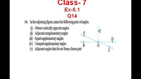 NCERT Solution CLASS-7 (VII) Mathematics CHAPTER-  5 Lines and Angles  Ex-5.1 Q14 @bhullar