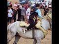 الفارس الصغير المستقبلي ڨطاب يوسف ربي يحفظو ان شاء الله فرسان مجانة ابوني القناة وشكرا الفارس الصغير المستقبلي ڨطاب يوسف ربي يحفظو ان شاء الله فرسان مجانة ابوني القناة وشكرا