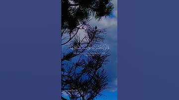 #اكسبلور #quran #تلاوة_خاشعة #راحة_نفسية #سورة الانعام #ادريس_ابكر
